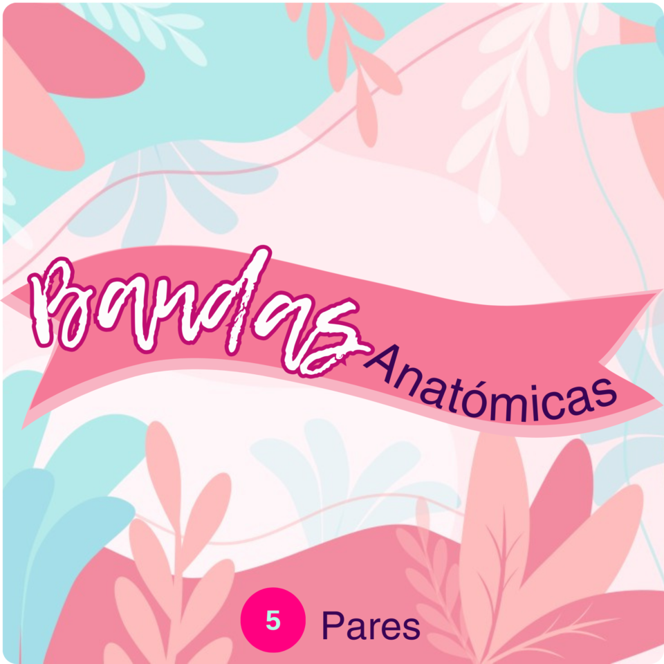 Bandas Anatómicas